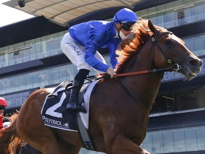 Horse Paulele, Owned By Godolphin, Wins The Gr.1 Winterbotto ...